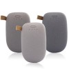 Pebble powerbank