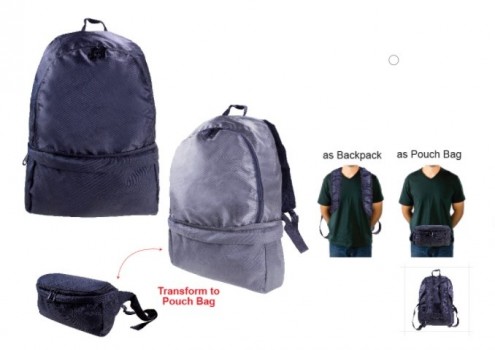 Back Pack + Pouch Bag