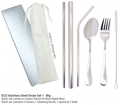 Eco Stainless Steel Straw Set 1 - Big