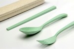 Wheat Straw Cutlery Set