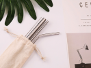 Eco Stainless Steel Straw Set 2 - Small