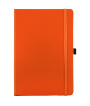 PGM ED Thermoskin Notebook