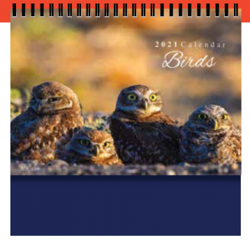 Desktop Calendar - 360 Birds