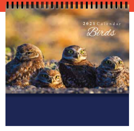 PGM ED Desktop Calendar - 360 Birds