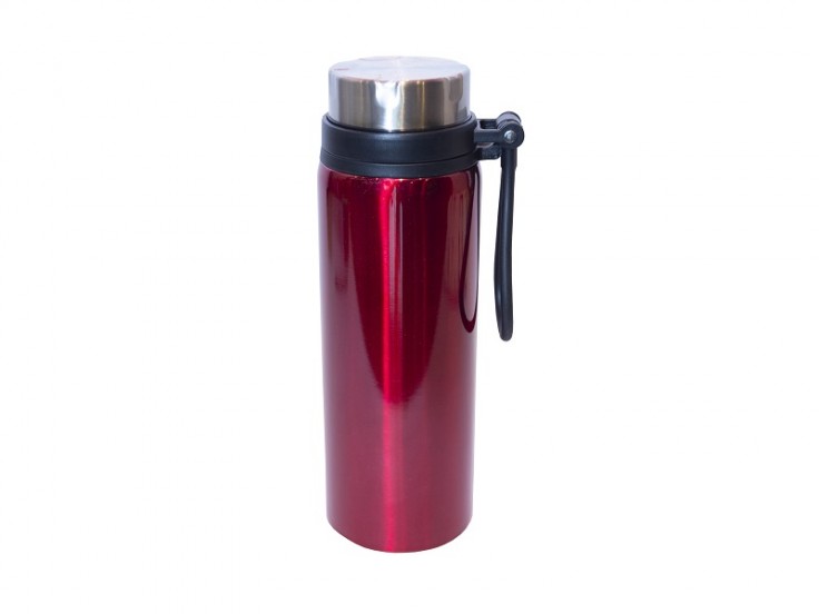 Vacuum flask with handle