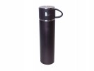 Vacuum flask with cup