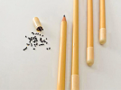 Plantable Pencil